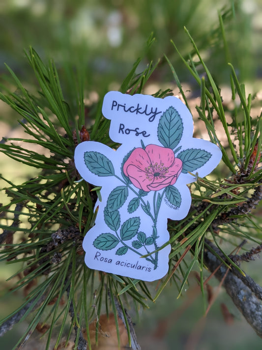 Prickly Rose Sticker Twig Creations