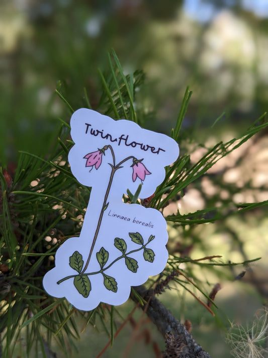 Twinflower Sticker Twig Creations