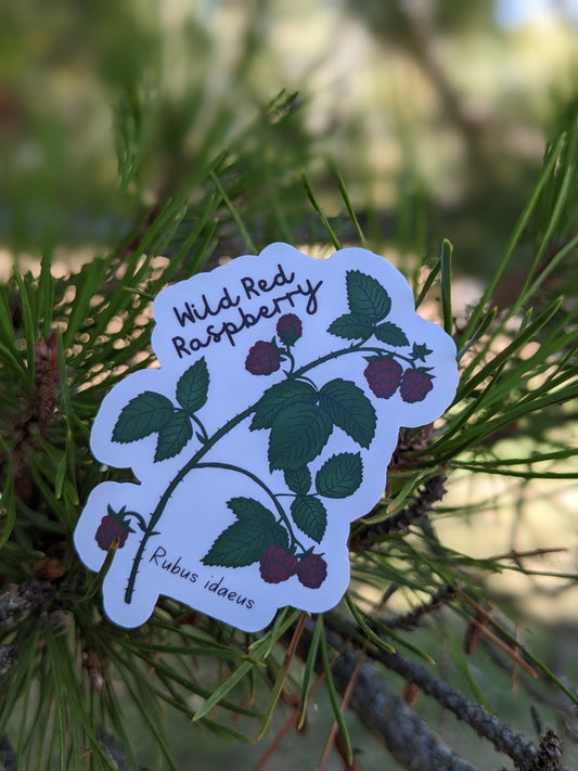 Wild Red Raspberry Sticker Twig Creations