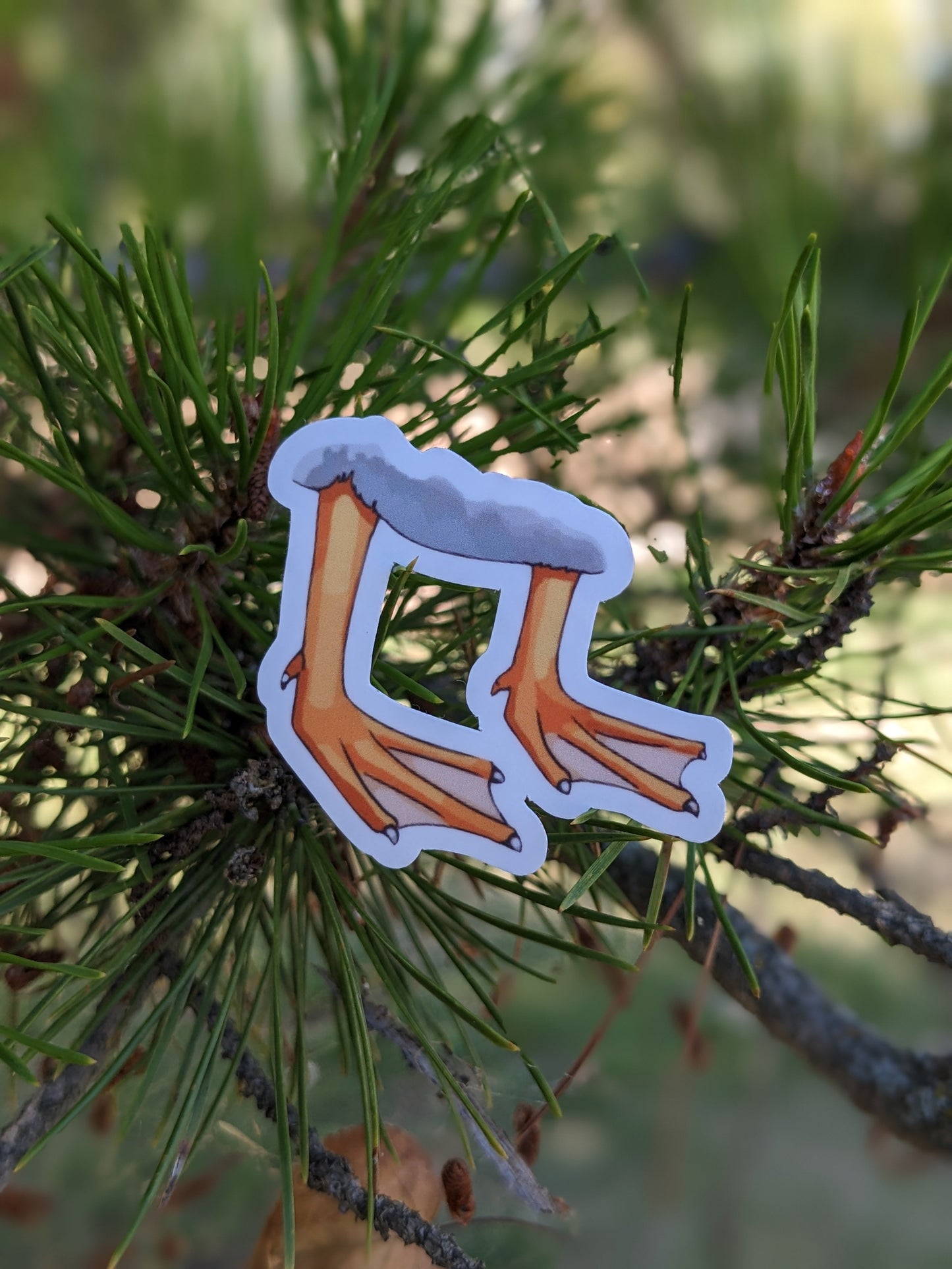 Duck Feet Sticker Twig Creations