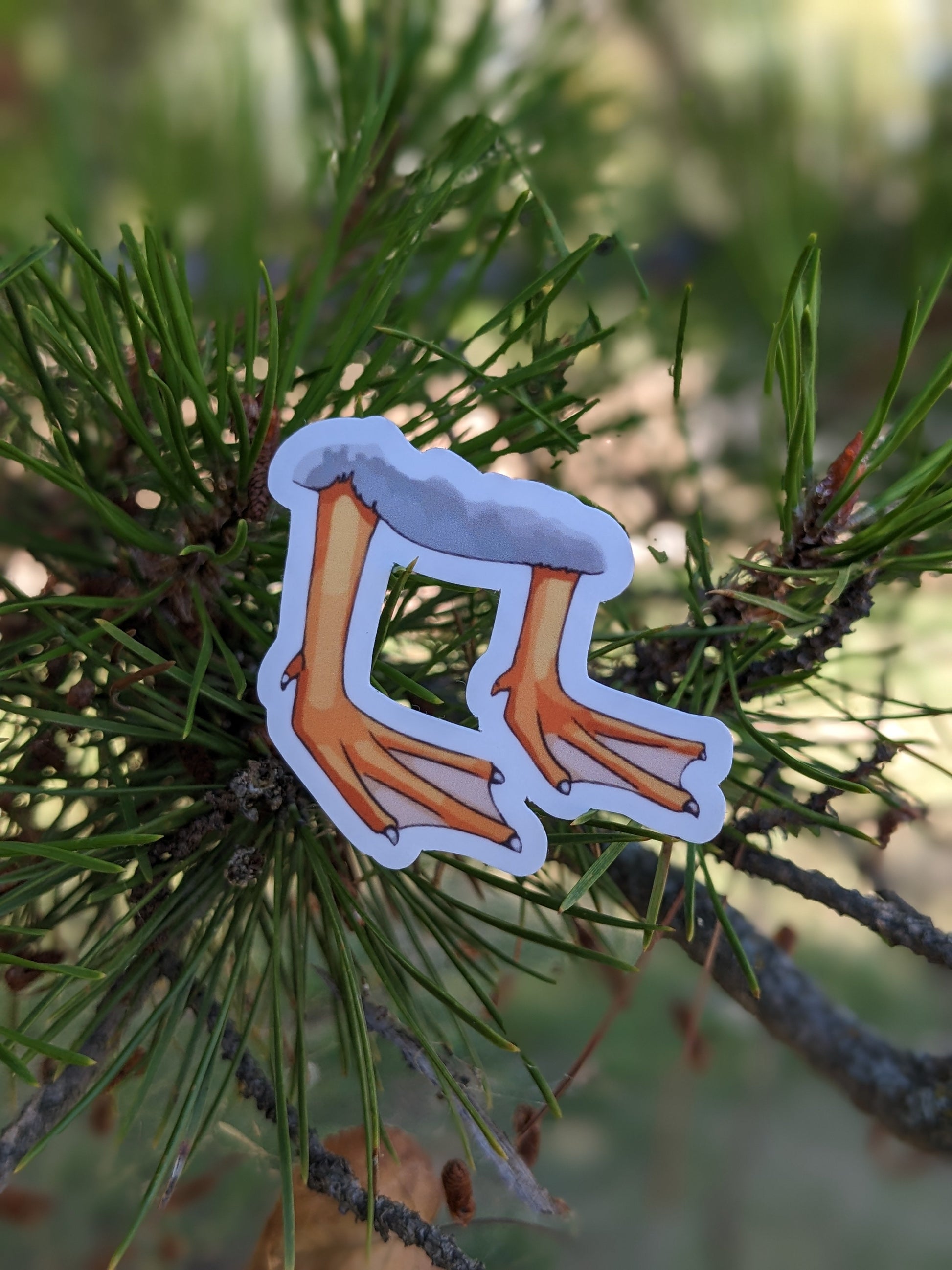 Duck Feet Sticker Twig Creations