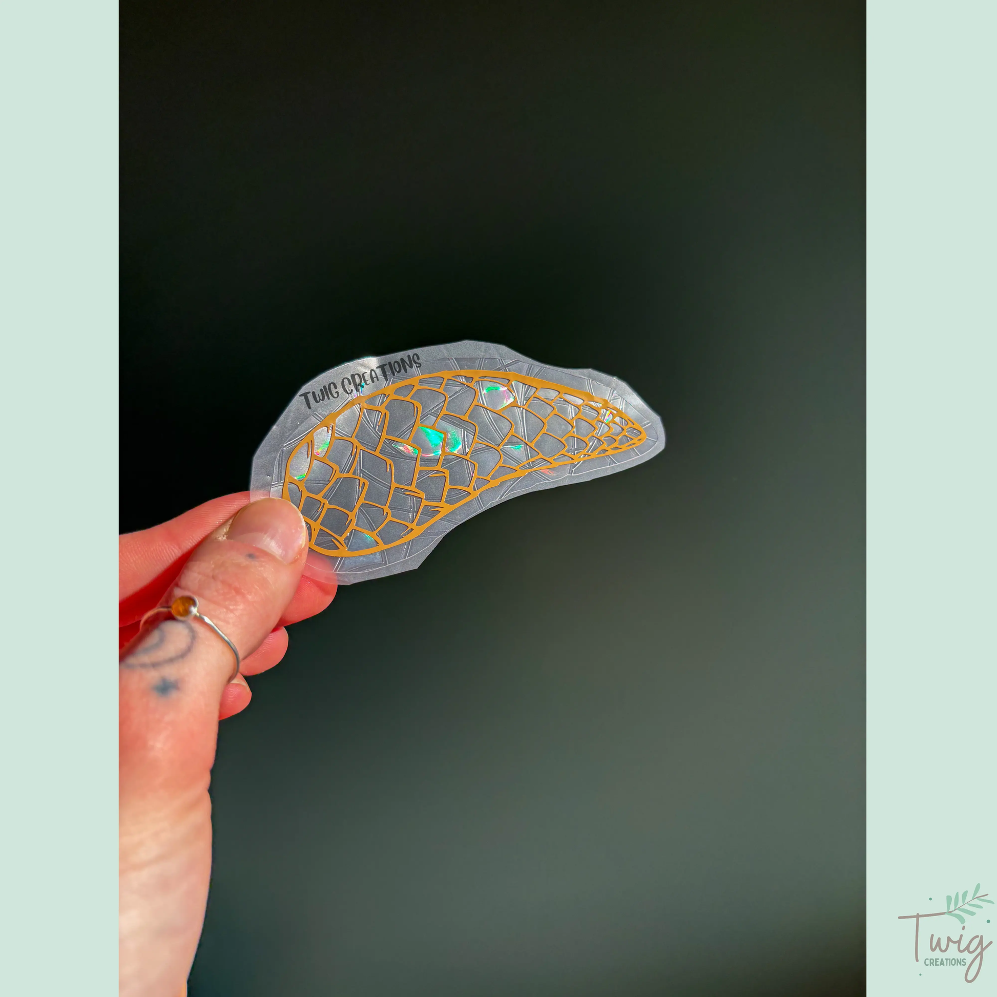 Pinecones Rainbow Window Cling Bundle #1 Twig Creations