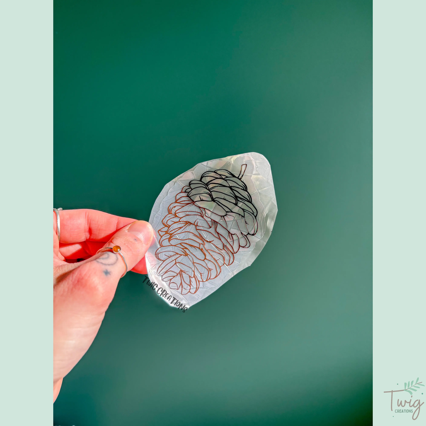 Pinecones Rainbow Window Cling Bundle #1 Twig Creations