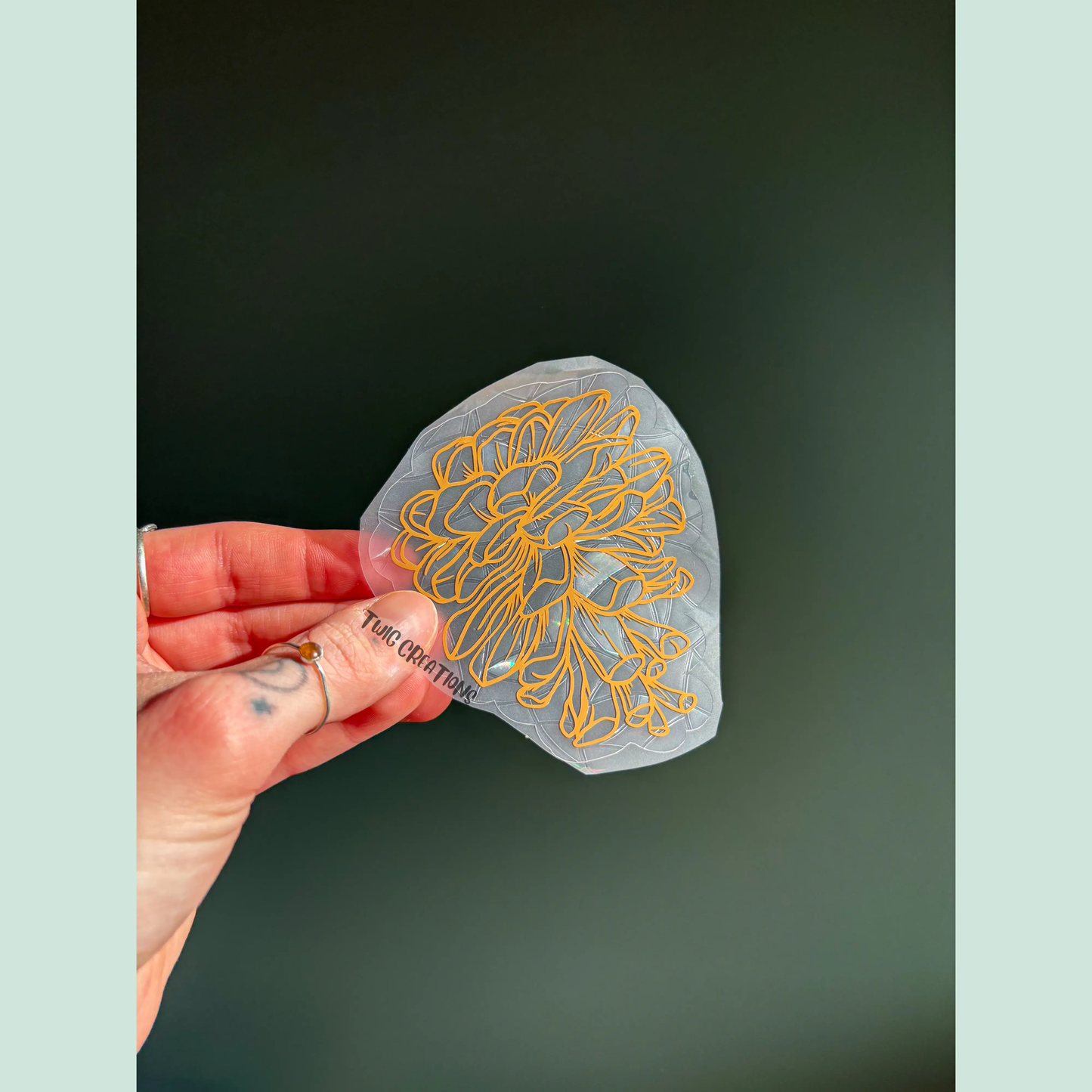 Pinecones Rainbow Window Cling Bundle #2 Twig Creations