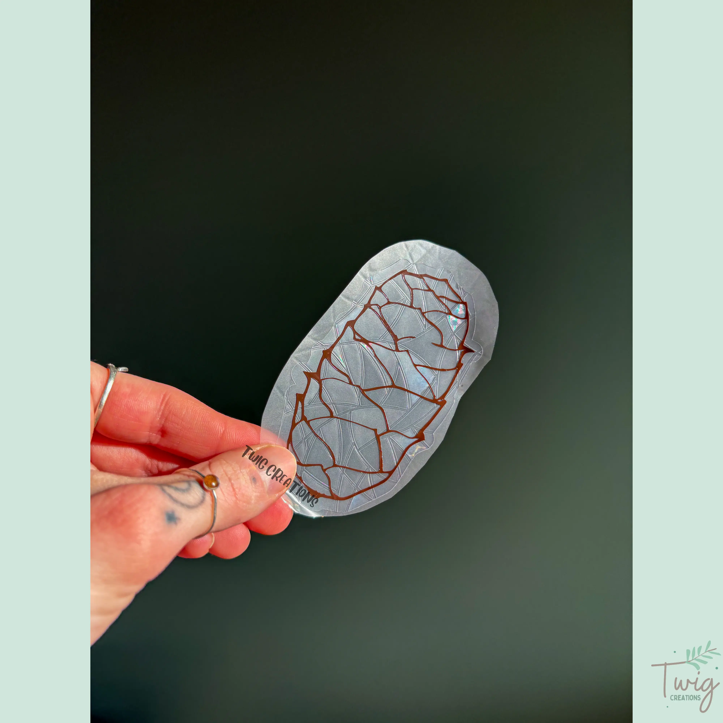 Pinecones Rainbow Window Cling Bundle #2 Twig Creations