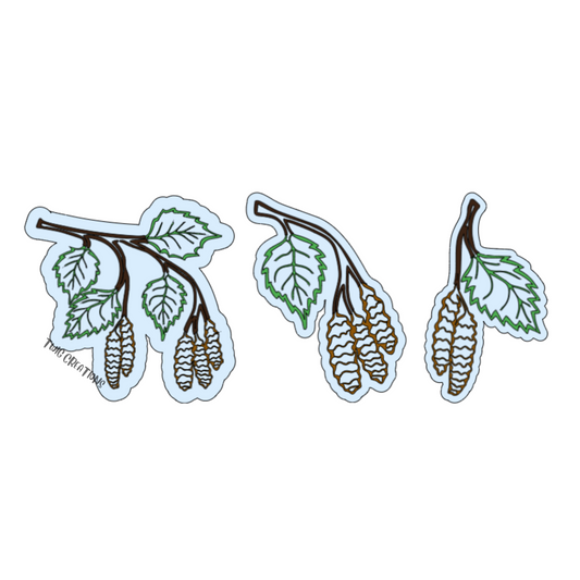 Aspen Leaves Rainbow Window Cling Bundle