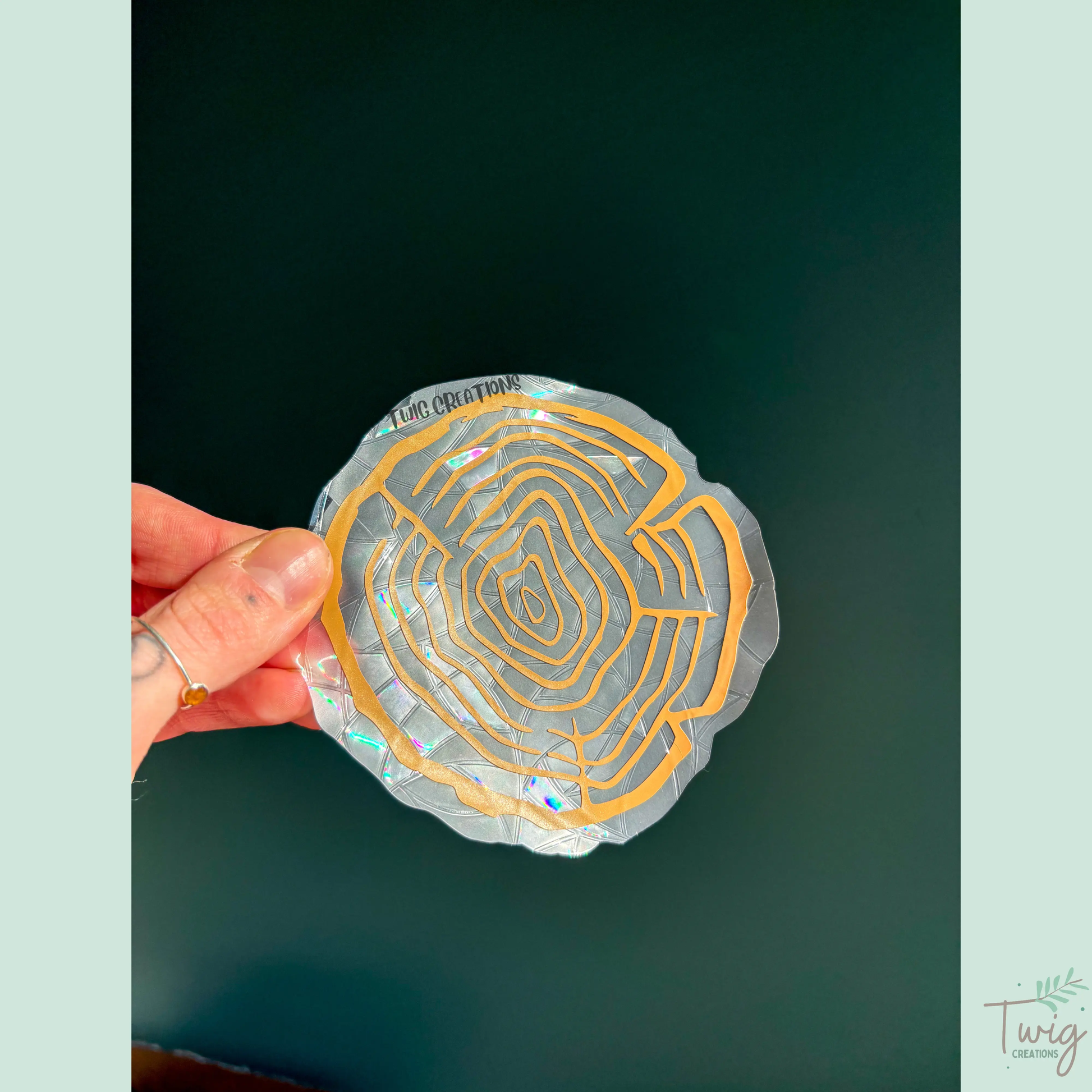 Tree Rings Rainbow Window Cling Bundle #1 (3 Pack) Twig Creations