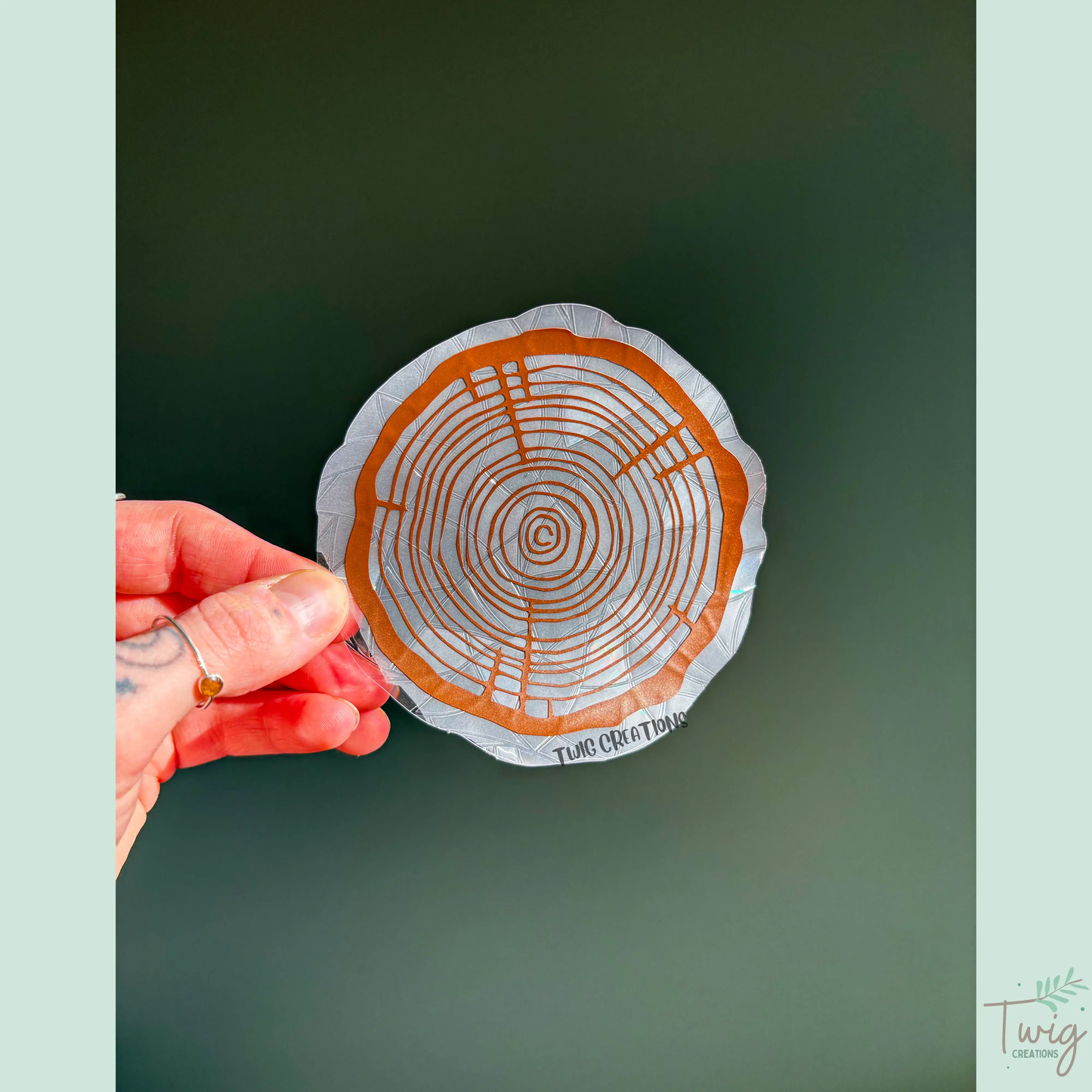 Tree Rings Rainbow Window Cling Bundle #1 (3 Pack) Twig Creations