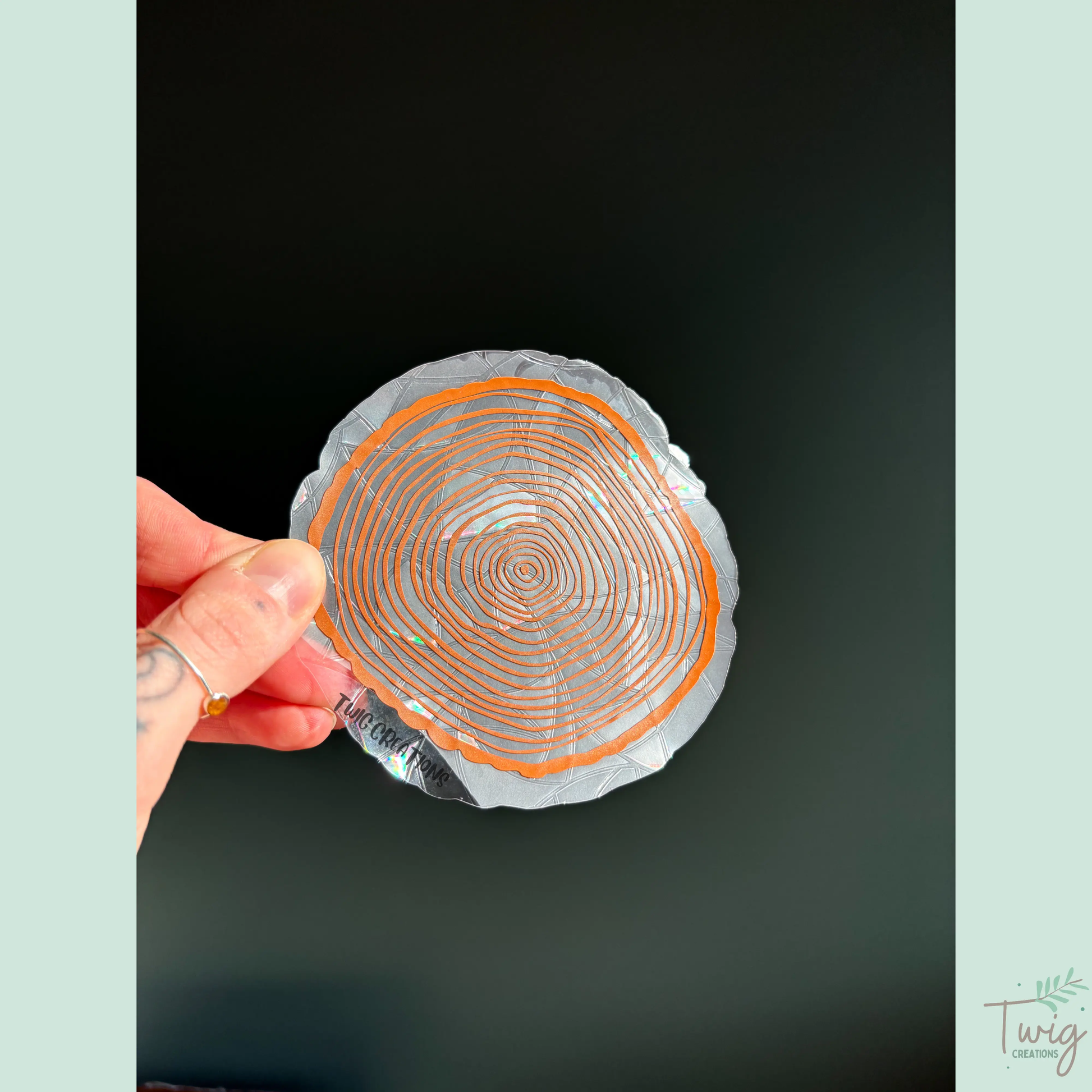 Tree Rings Rainbow Window Cling Bundle #1 (3 Pack) Twig Creations