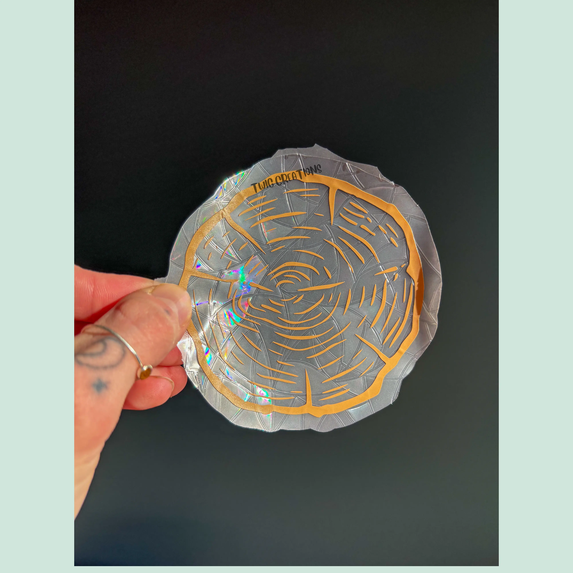 Tree Rings Rainbow Window Cling Bundle #2 (3 pack) Twig Creations