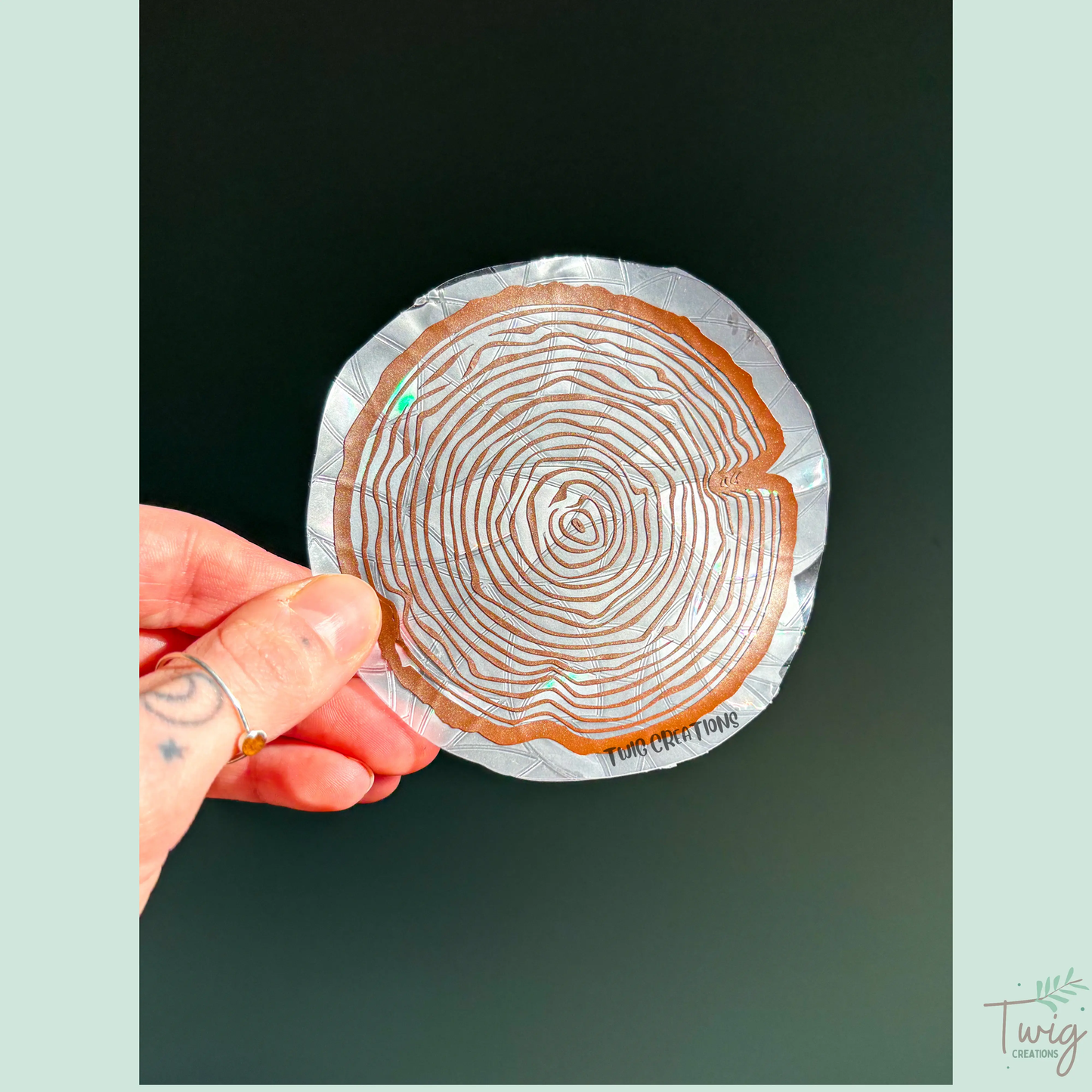 Tree Rings Rainbow Window Cling Bundle #2 (3 pack) Twig Creations