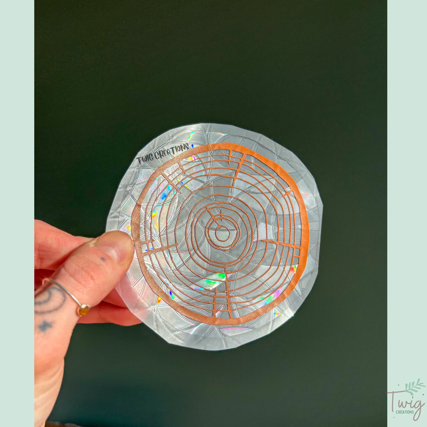 Tree Rings Rainbow Window Cling Bundle #2 (3 pack) Twig Creations