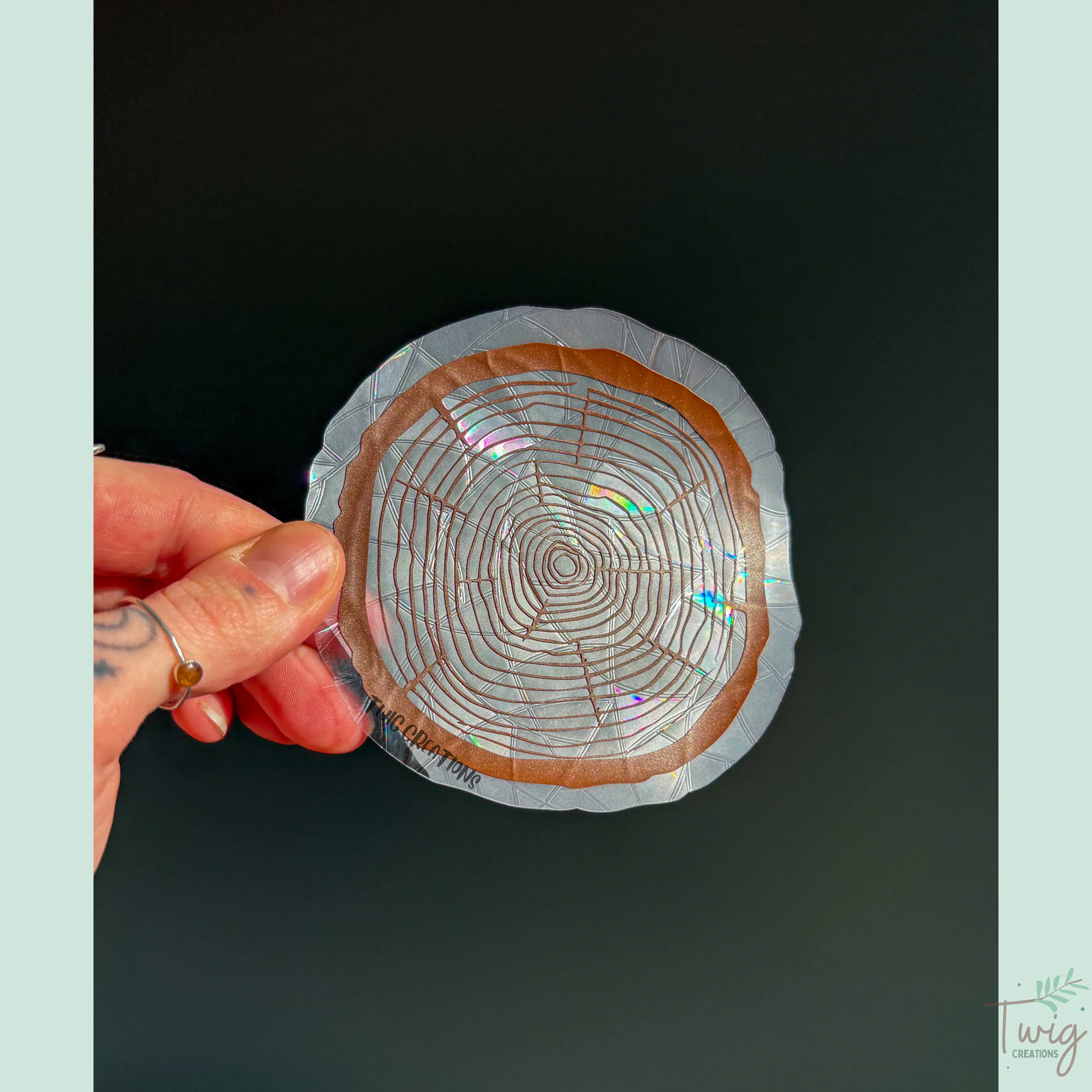 Tree Rings Rainbow Window Cling Bundle #3 (3 pack) Twig Creations