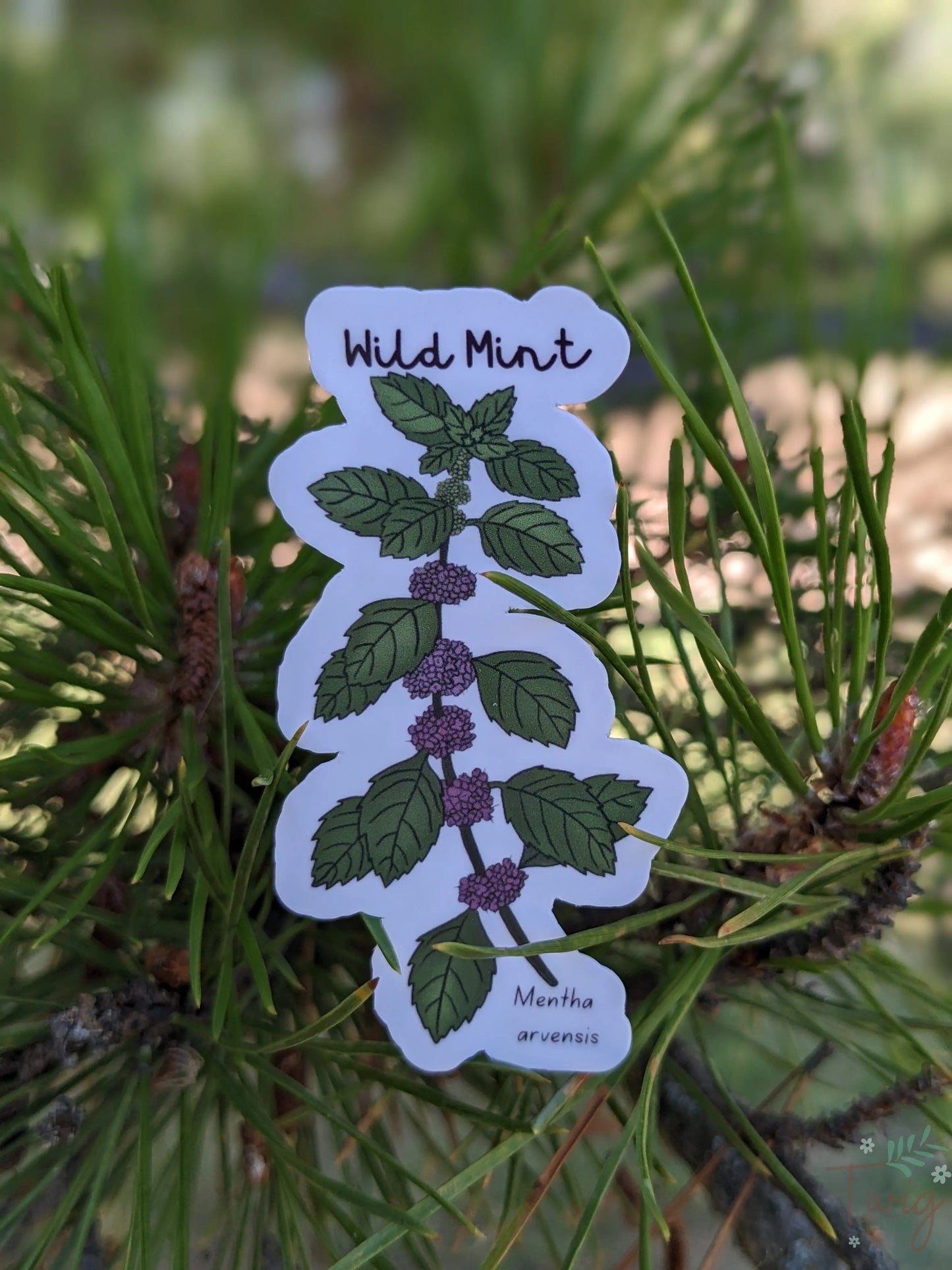 Wild Mint Sticker Twig Creations