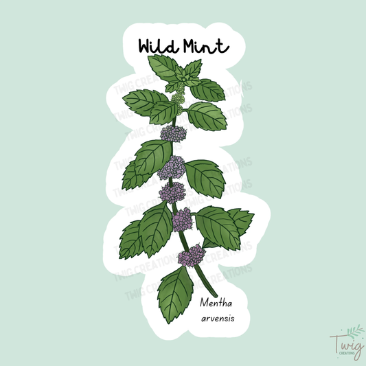 Wild Mint Sticker Twig Creations