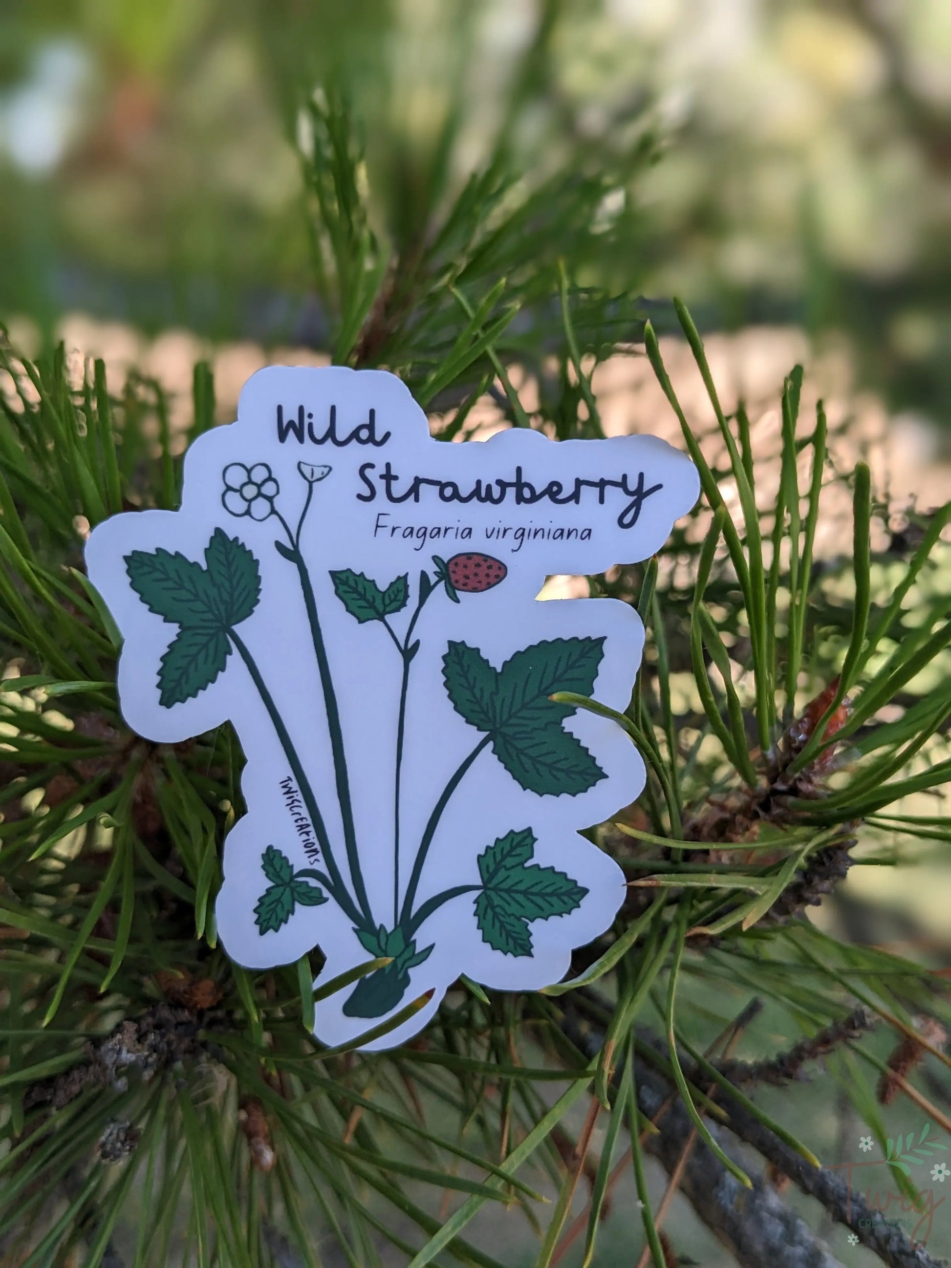 Wild Strawberry Sticker Twig Creations