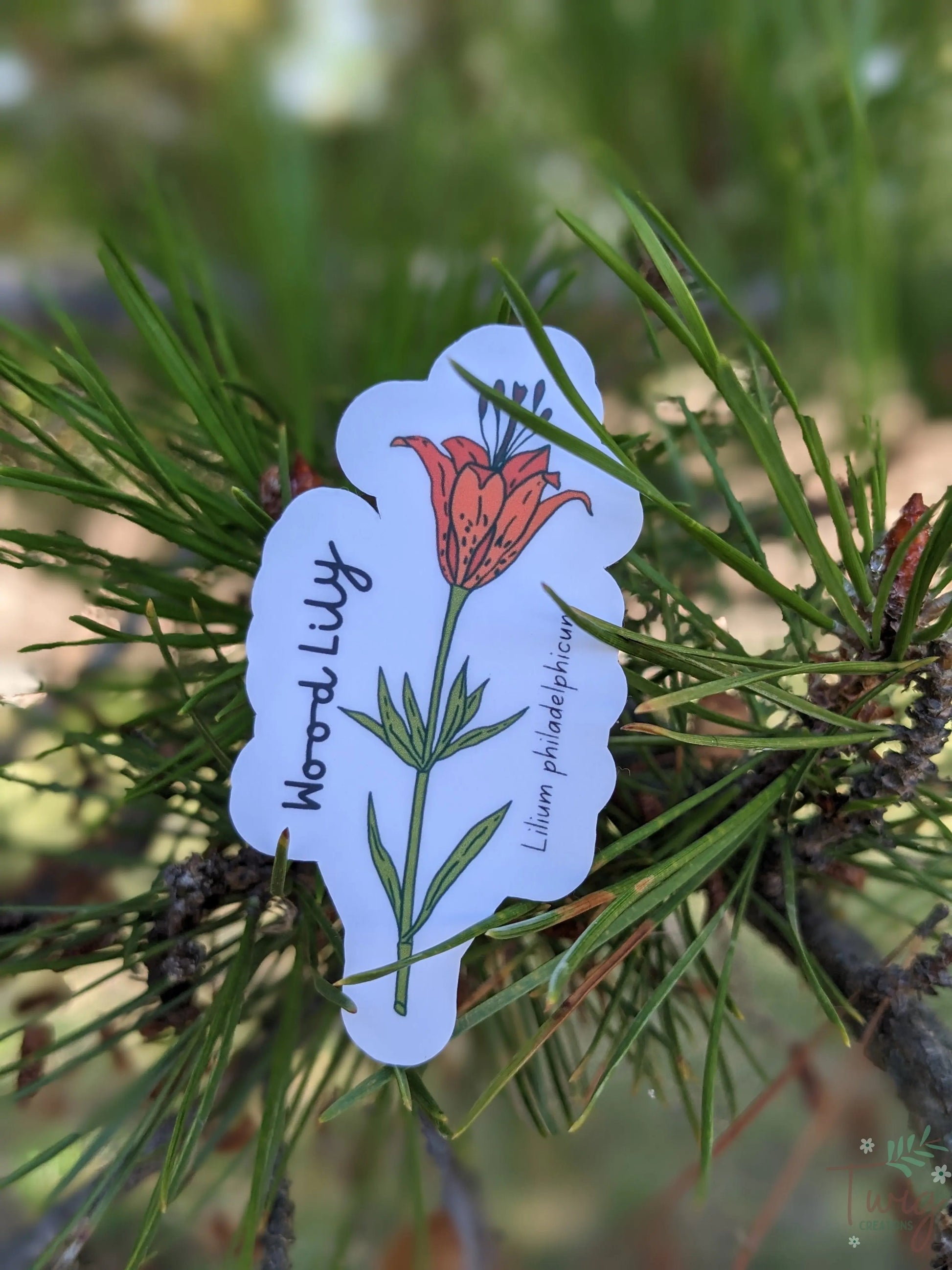Wood Lily Sticker Twig Creations